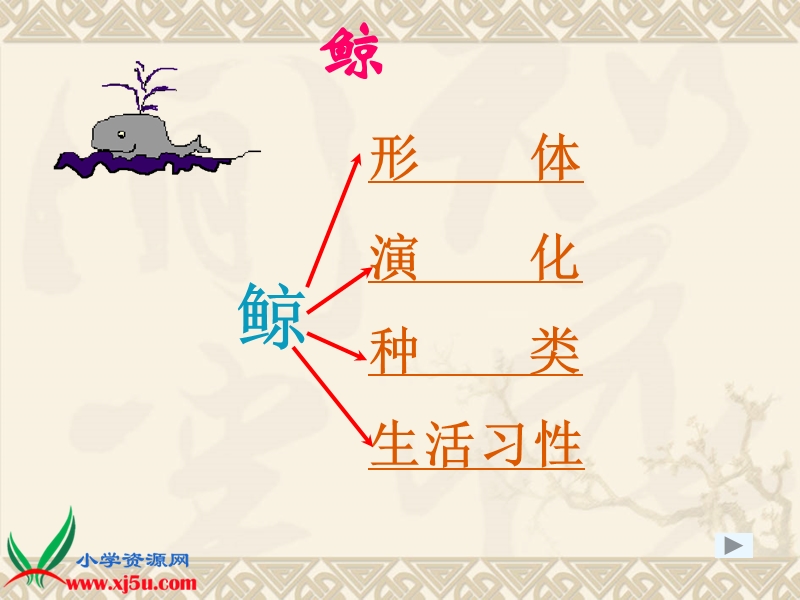 （语文s版）四年级语文下册课件 鲸 5.ppt_第3页