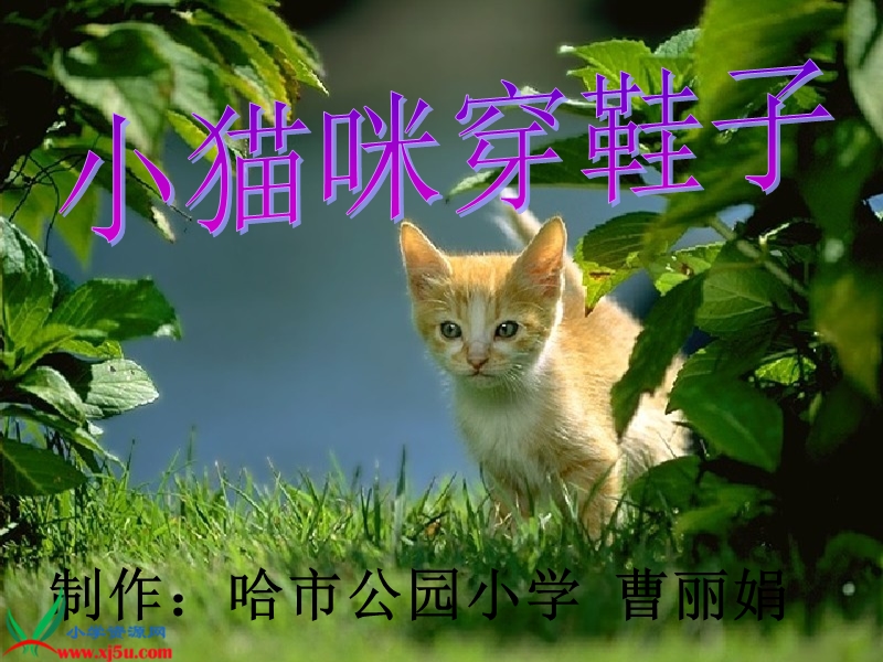 （教科版）二年级语文下册课件 小猫咪穿鞋子 2.ppt_第1页