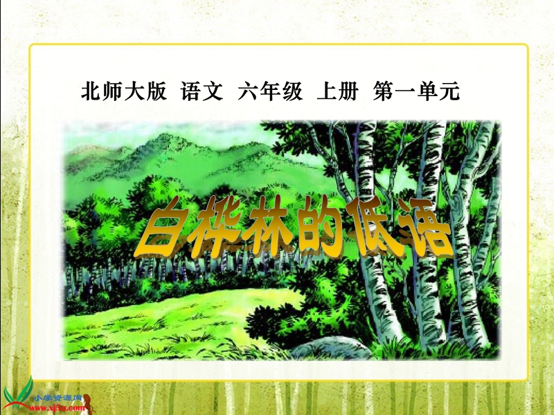 （北师大版）六年级语文上册课件 白桦林的低语 1.ppt_第1页