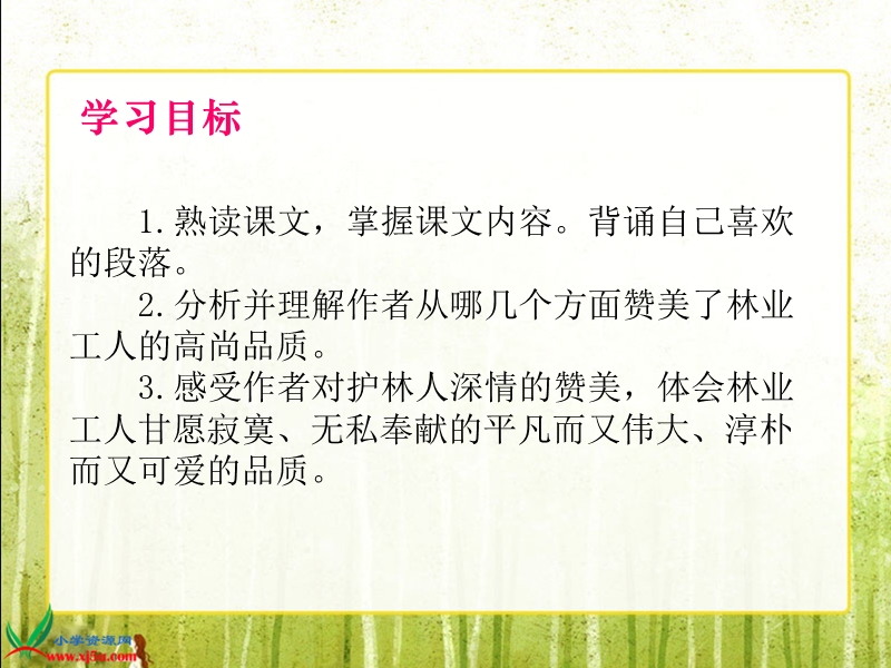 （北师大版）六年级语文上册课件 白桦林的低语 1.ppt_第2页