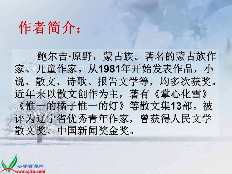 （鄂教版）五年级语文上册课件 雪地贺卡 1.ppt_第2页