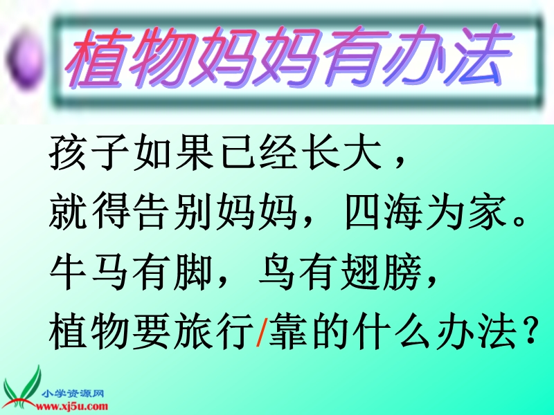 （沪教版）一年级语文下册课件 植物妈妈有办法 1.ppt_第1页