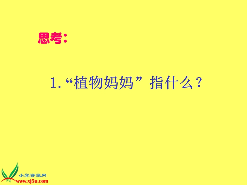 （沪教版）一年级语文下册课件 植物妈妈有办法 1.ppt_第3页