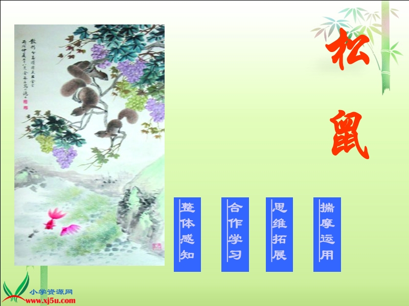 （北师大版）三年级语文下册课件 松鼠3.ppt_第3页