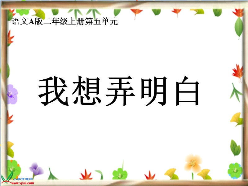 （语文a版）二年级语文上册课件 我想弄明白.ppt_第1页