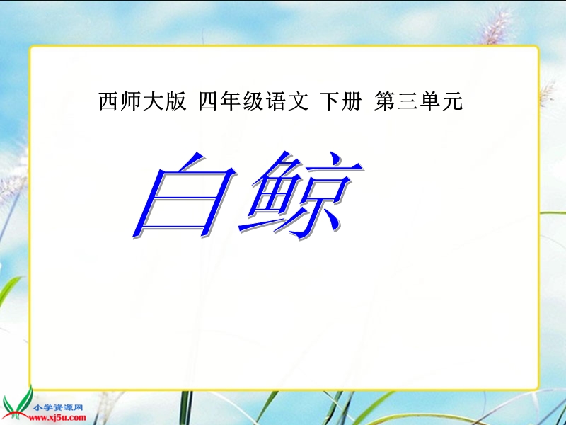 （西师大版）四年级语文下册课件 白鲸1.ppt_第1页