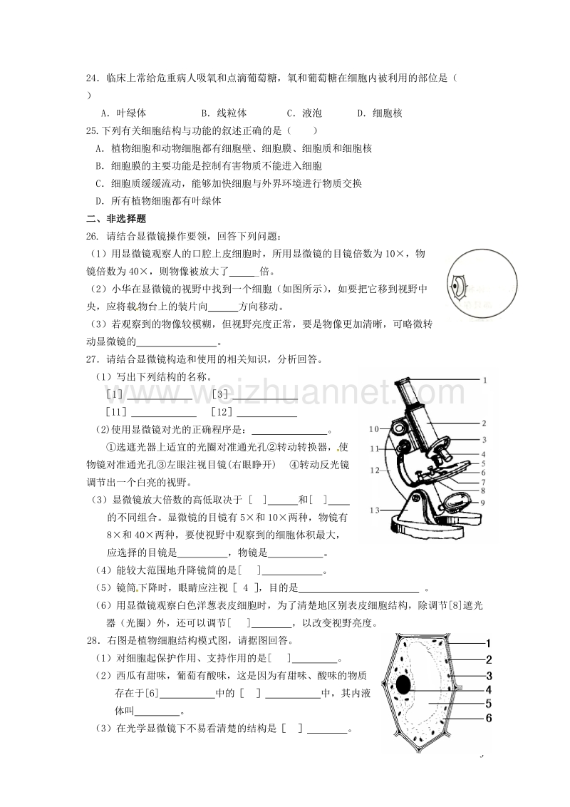 七年级生物上册 第二单元 第一章细胞是生命活动的基本单位单元检测题 （新版）新人教版.doc_第3页