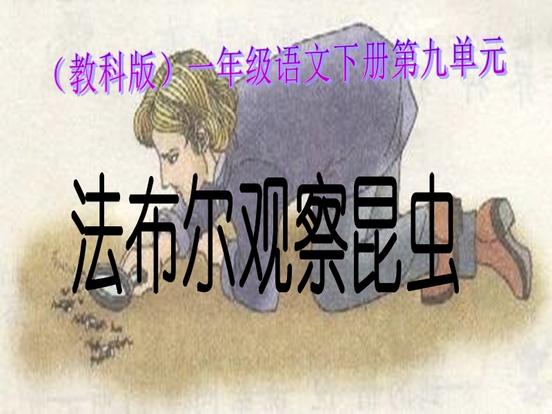 （教科版）一年级语文下册课件 法布尔观察昆虫 1.ppt_第1页