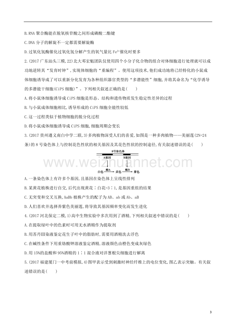 2018届高考生物二轮复习 冲刺提分作业本 一 必修选择题20分钟3组练1.doc_第3页