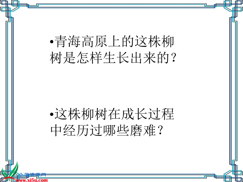 （苏教版）六年级语文上册课件 青海高原一株柳 3.ppt_第2页