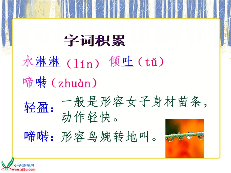 （鲁教版）五年级语文上册课件 山雨 1.ppt_第3页