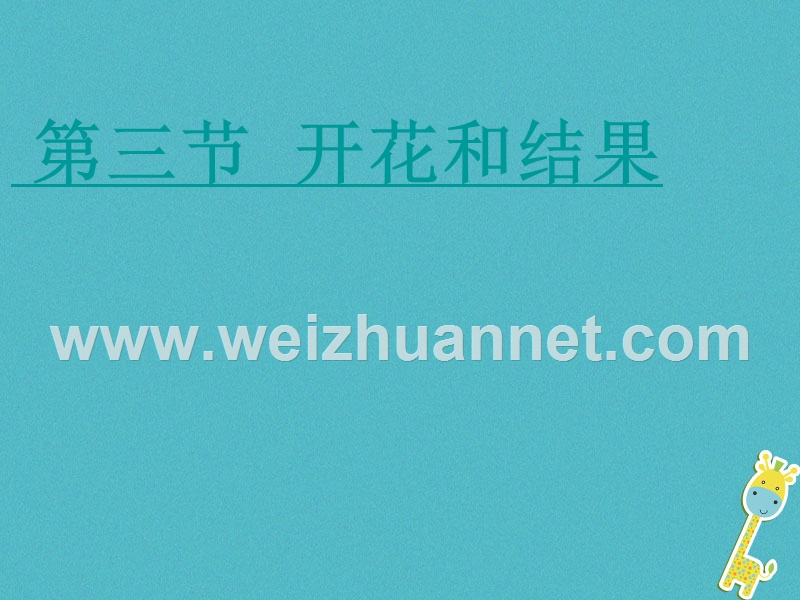 湖南省桑植县七年级生物上册 第三单元 第二章 第三节 开花和结果课件 （新版）新人教版.ppt_第1页