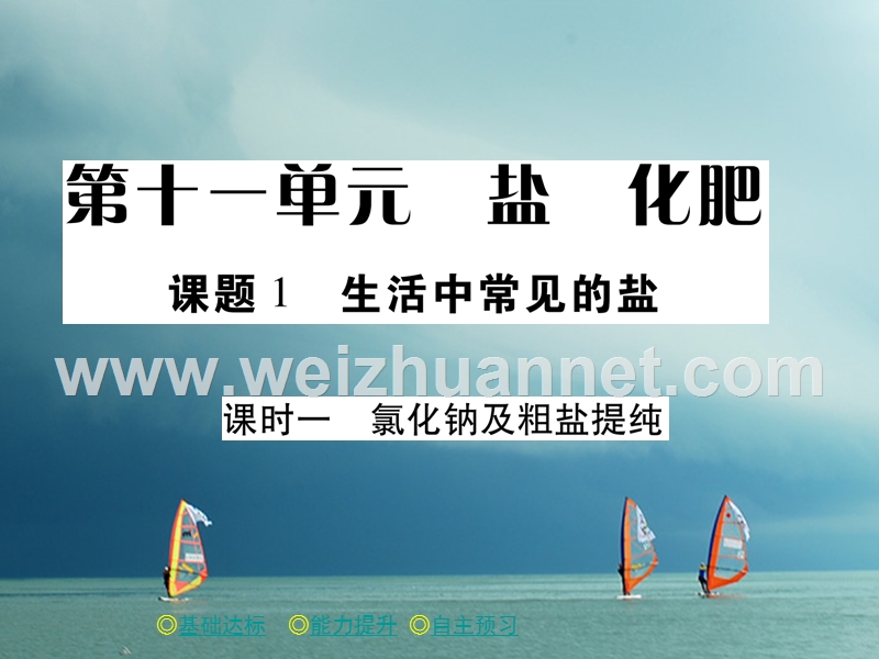 2018春九年级化学下册 第11单元 盐 化肥 课题1 生活中常见的盐（课时1）氯化钠及粗盐提纯习题课件 （新版）新人教版.ppt_第1页