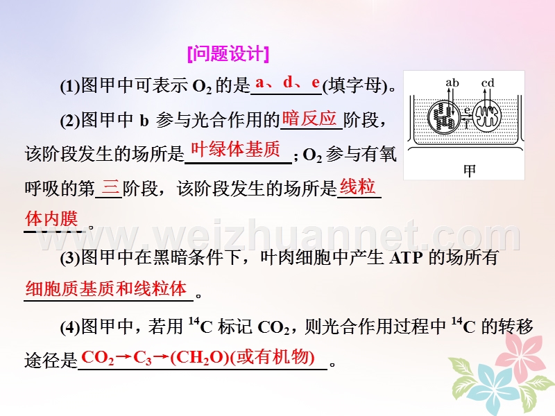 （全国通用）2018年高考生物二轮复习 专题二 代谢 串讲二 细胞呼吸与光合作用 第2课时 高考研究课件.ppt_第3页