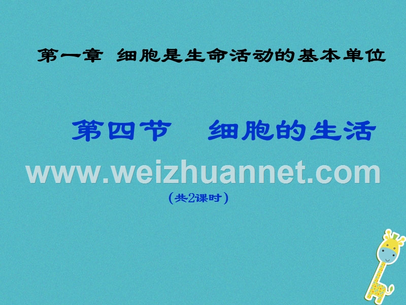 湖南省桑植县七年级生物上册 第二单元 第一章 第四节 细胞的生活课件 （新版）新人教版.ppt_第1页