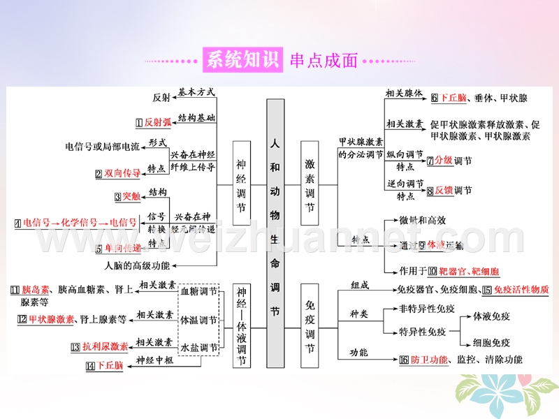 （全国通用）2018年高考生物二轮复习 专题四 调节 串讲一 内环境稳态及调节 第1课时 基础自查课件.ppt_第2页