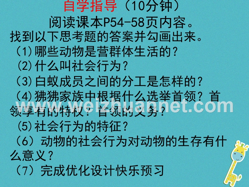 陕西省石泉县八年级生物上册 5.2.3社会行为课件 （新版）新人教版.ppt_第2页