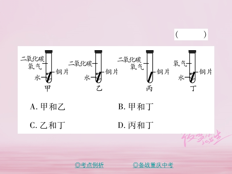 （重庆专版）2018中考化学总复习 第二篇 重点题型突破 第24讲 实验探究—变量控制问题课件.ppt_第3页