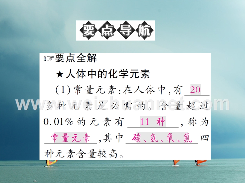 2018春九年级化学下册 第十单元 化学与健康 第二节 化学元素与人体健康习题课件 （新版）鲁教版.ppt_第2页