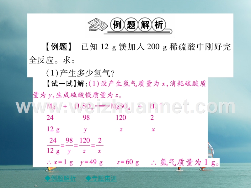 2018春九年级化学下册 专题特训 有关溶液质量分数的基本计算（一）习题课件 （新版）新人教版.ppt_第2页