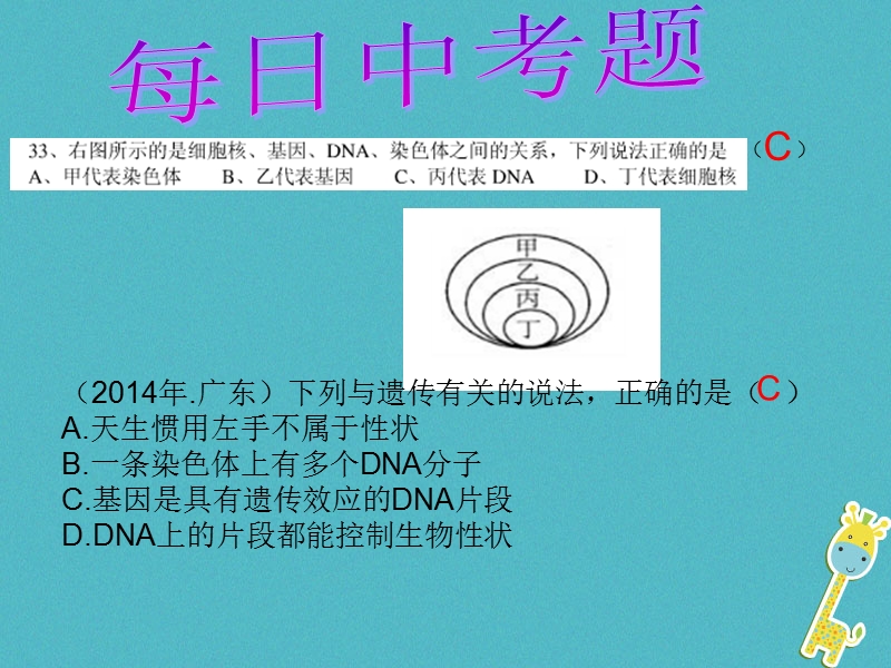 广东省深圳市八年级生物上册 20.3性状遗传有一定的规律性课件 （新版）北师大版.ppt_第2页