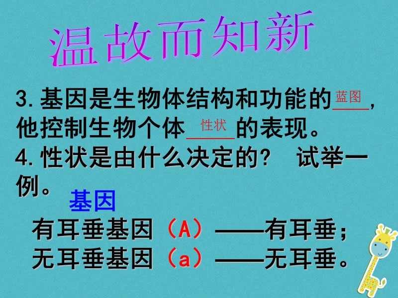 广东省深圳市八年级生物上册 20.3性状遗传有一定的规律性课件 （新版）北师大版.ppt_第3页