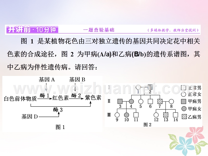 （全国通用）2018年高考生物二轮复习 专题三 遗传 串讲二 遗传规律、伴性遗传 第2课时 高考研究课件.ppt_第2页