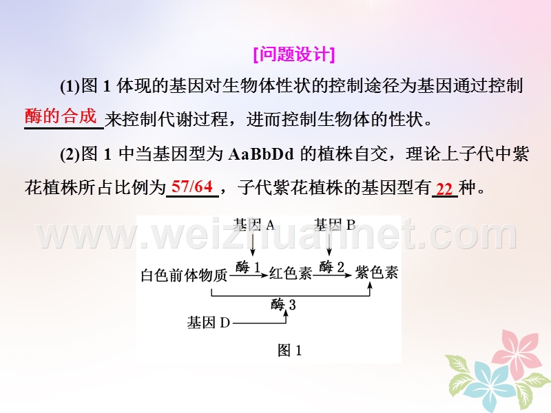 （全国通用）2018年高考生物二轮复习 专题三 遗传 串讲二 遗传规律、伴性遗传 第2课时 高考研究课件.ppt_第3页