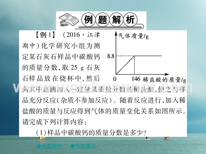 2018春九年级化学下册 专题特训 有关溶液质量分数的基本计算（二）习题课件 （新版）新人教版.ppt_第2页