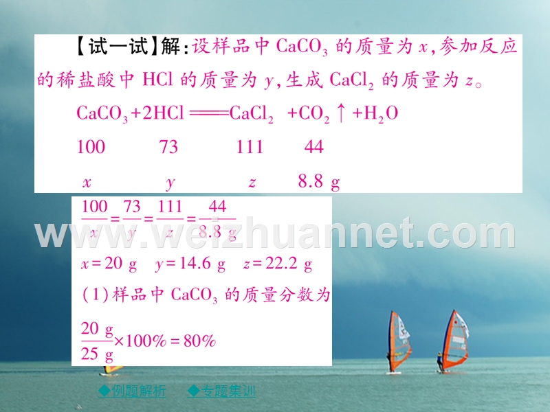 2018春九年级化学下册 专题特训 有关溶液质量分数的基本计算（二）习题课件 （新版）新人教版.ppt_第3页