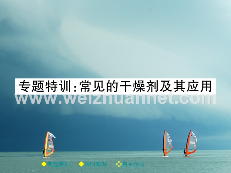 2018春九年级化学下册 专题特训 常见的干燥剂及其应用习题课件 （新版）新人教版.ppt_第1页