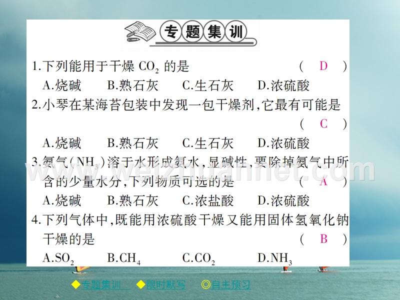 2018春九年级化学下册 专题特训 常见的干燥剂及其应用习题课件 （新版）新人教版.ppt_第2页