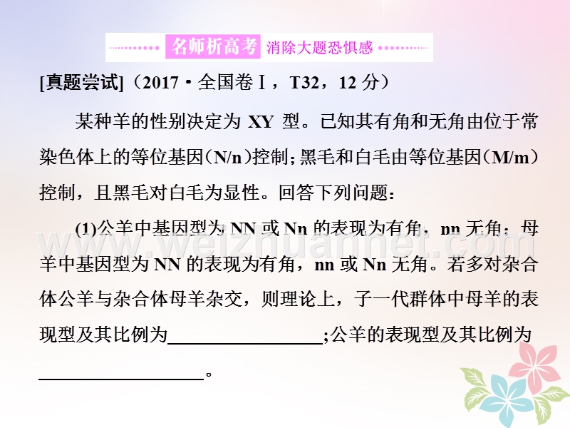 （全国通用）2018年高考生物二轮复习 专题三 遗传 串讲二 遗传规律、伴性遗传 第3课时 大题增分课件.ppt_第2页