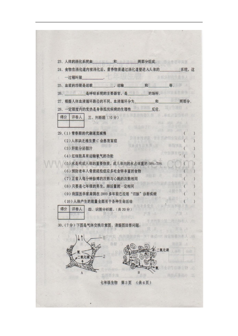 河南省周口市周口港区第九中学2015-2016学年七年级生物下学期期中试题 新人教版.doc_第3页