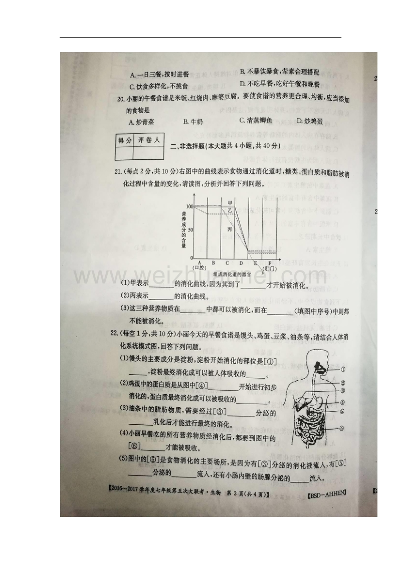 安徽省濉溪县2016_2017学年七年级生物下学期第五次大联考试题（扫 描 版）.doc_第3页