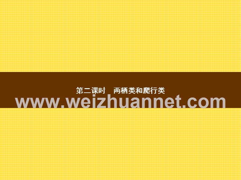 2015-2016学年七年级生物上册课件：2.2.2.2 两栖类和爬行类 （新）济南版.ppt_第1页