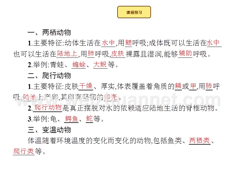 2015-2016学年七年级生物上册课件：2.2.2.2 两栖类和爬行类 （新）济南版.ppt_第2页