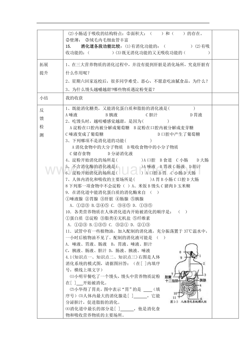 新人教版七年级生物下册 4.2.2 消化和吸收导学案.doc_第3页