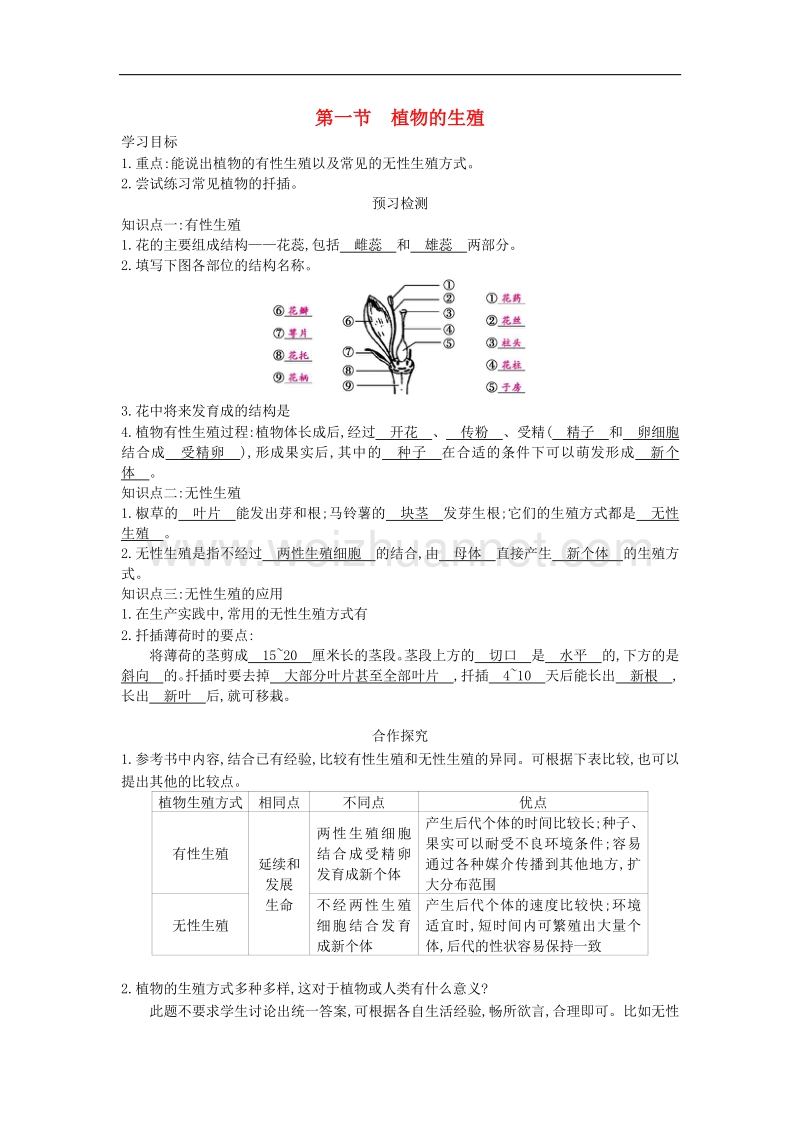 八年级生物下册7.1.1 植物的生殖导学案 新人教版.doc_第1页