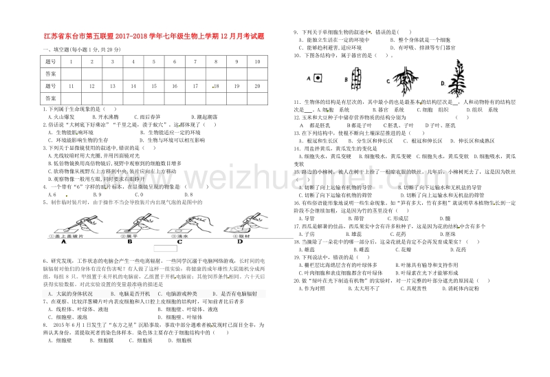 江苏省东台市第五联盟2017_2018学年七年级生物上学期12月月考试题苏科版.doc_第1页