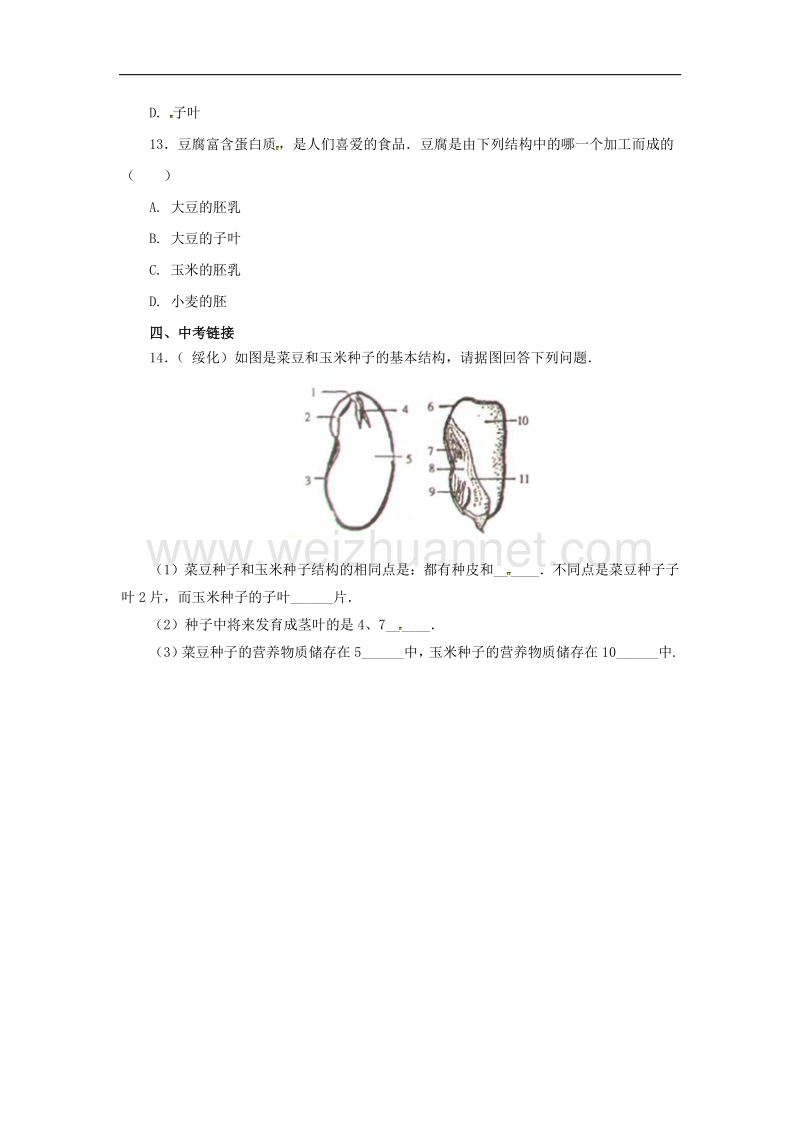 2017届中考生物一轮复习第6讲生物圈中有na些绿色植物习题.doc_第3页