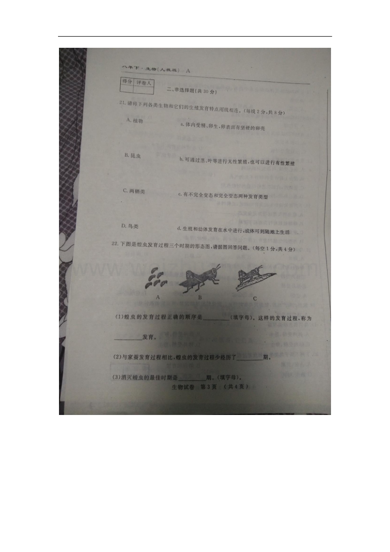 吉林省梅河口市水道学校2015-2016学年八年级生物下学期第一次月考试题 新人教版.doc_第3页