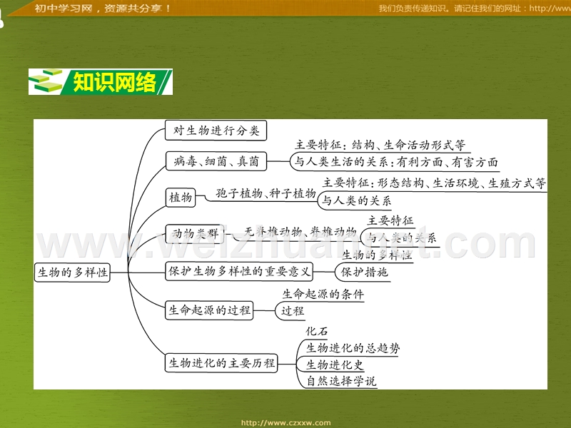 2016届中考面对面生物复习课件：专题八《生物的多样性》（苏教版）.ppt_第2页