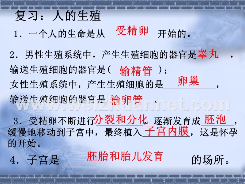 初中人教版生物七年级下册第一章人的由来第三节青春期（精品ppt57张）.ppt_第1页