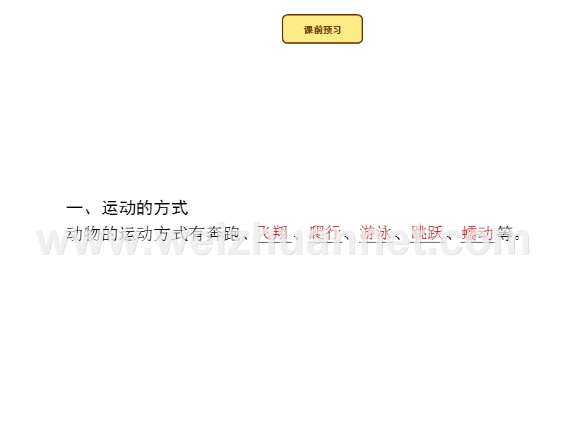 2015-2016学年七年级生物上册课件：2.2.3.1 运动的方式和基础 （新）济南版.ppt_第3页