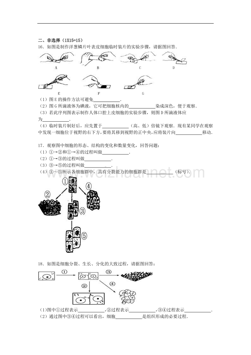 江苏省连云港市灌云县四队中学2014-2015学年七年级生物下学期第一次质检试卷 苏教版.doc_第3页