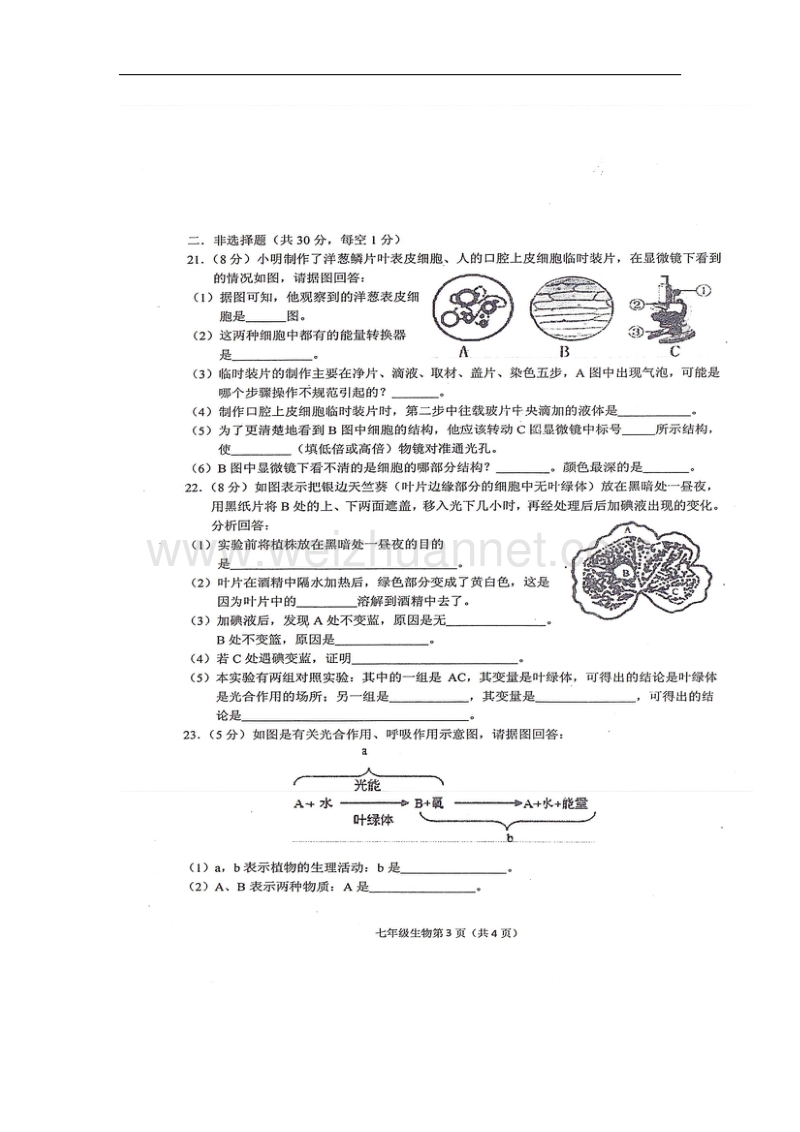 山东省单县2017_2018学年七年级生物上学期期中试题（扫 描 版）济南版.doc_第3页