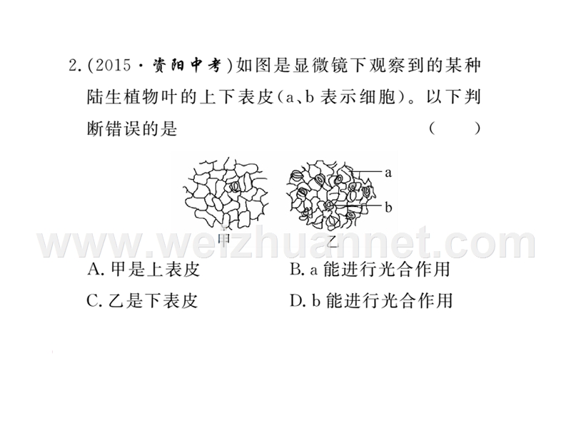 2016春学练优八年级生物下册配套课件：专题四  绿色植物的作用（图片版）.ppt_第3页