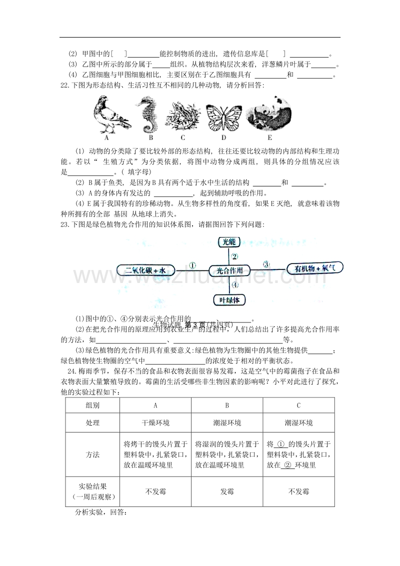 山东省邹城市第五中学2015-2016学年度第一学期期末检测生物试题（无答案）.doc_第3页