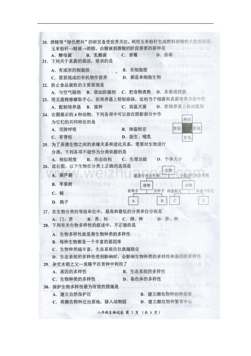 广西来宾市2015-2016学年八年级生物上学期期末试题（无答案） 新人教版.doc_第3页